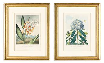 (BOTANICAL.) Dr. Robert John Thornton. Group of 14 uniformly framed plates from the quarto edition of Temple of Flora.